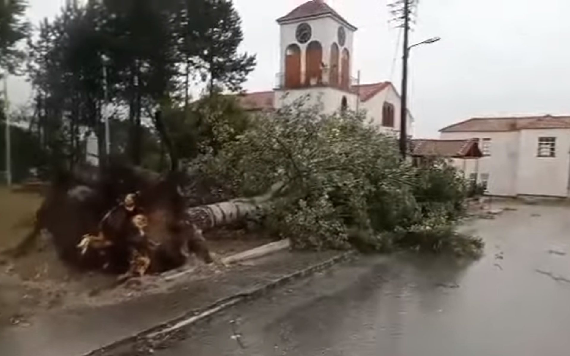 Καιρός – Κοζάνη: Πτώσεις δέντρων, κυκλοφοριακά προβλήματα και διακοπές ηλεκτροδότησης από τη σφοδρή κακοκαιρία