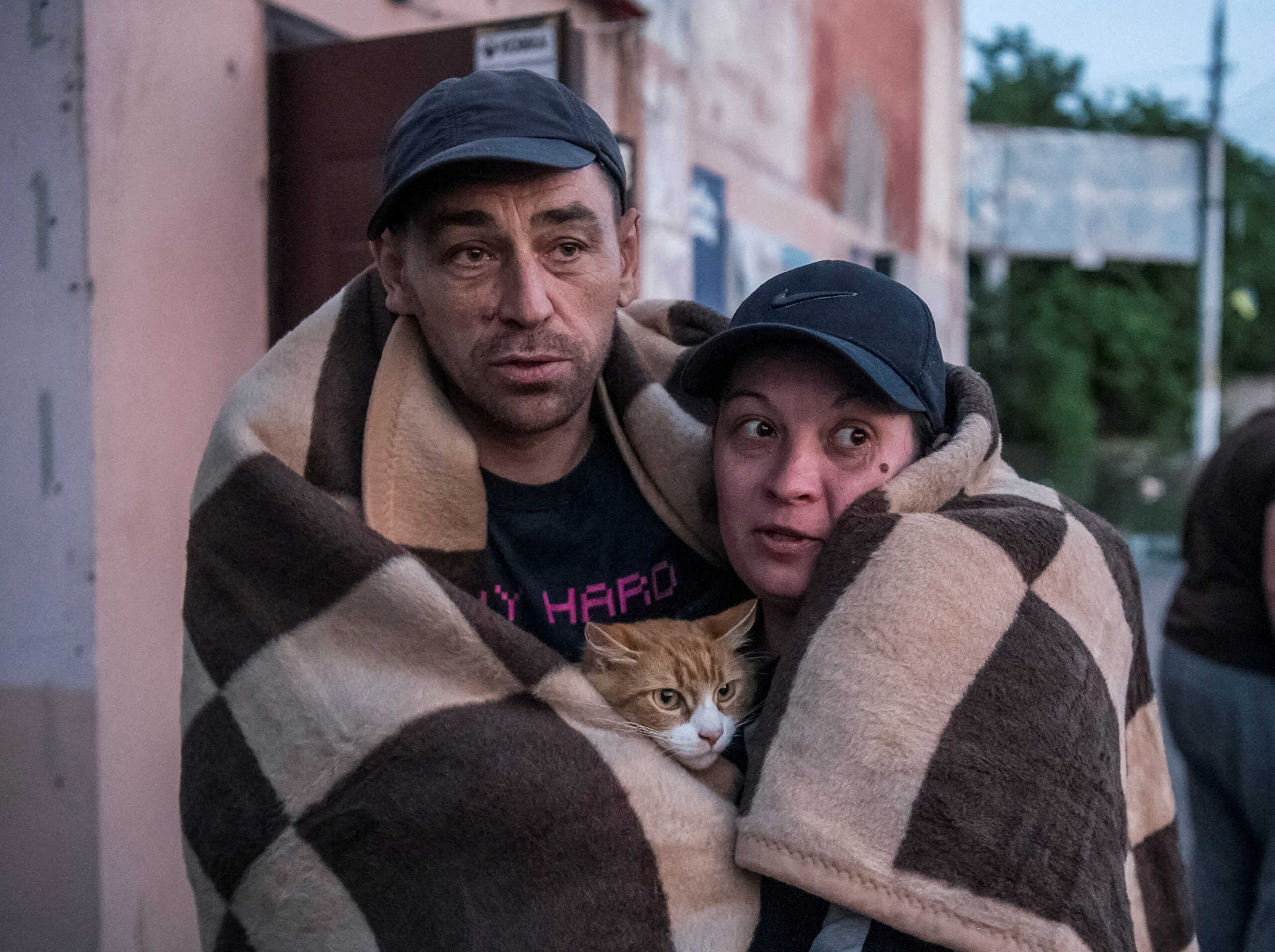 Ουκρανία: Τα ζώα πνίγονται στην Χερσώνα – Οι διασώστες προσπαθούν να σώσουν κατοικίδια στις πλημμυρισμένες περιοχές