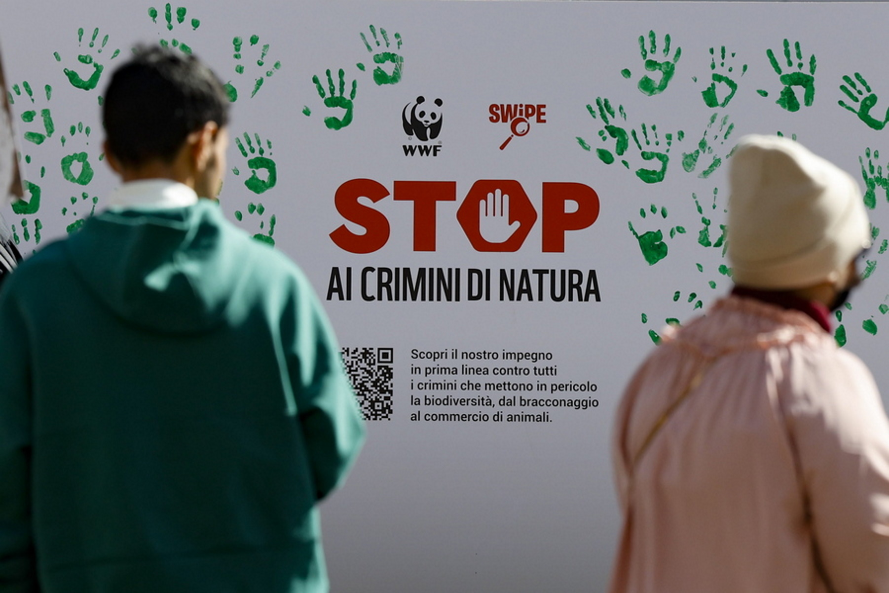 Ρωσία: Η WWF κηρύχτηκε «ανεπιθύμητη» 1 μήνα μετά τη Greenpeace