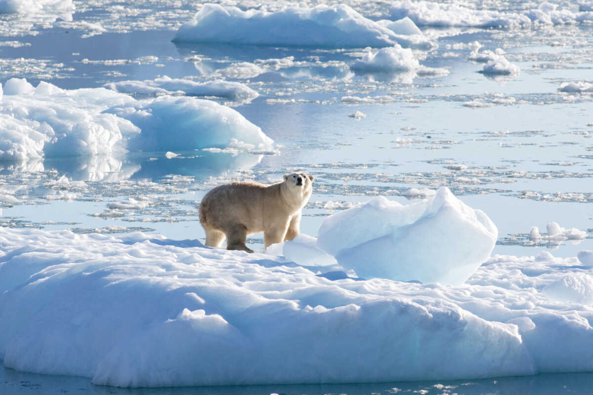 Η κλιματική αλλαγή απειλεί τους πάγους της Αρκτικής από το 2030