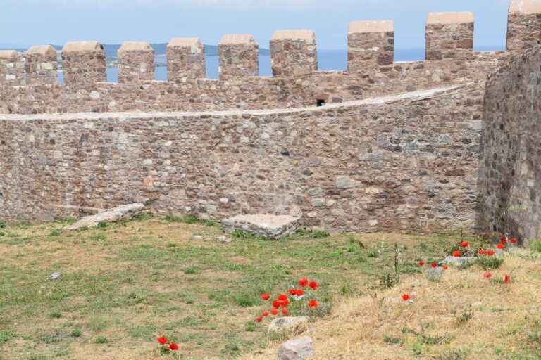 Στο φως μετά από αιώνες τα αρχαία τείχη της Μυτιλήνης - Δείτε εικόνες μετά από ανασκαφές 8 ετών