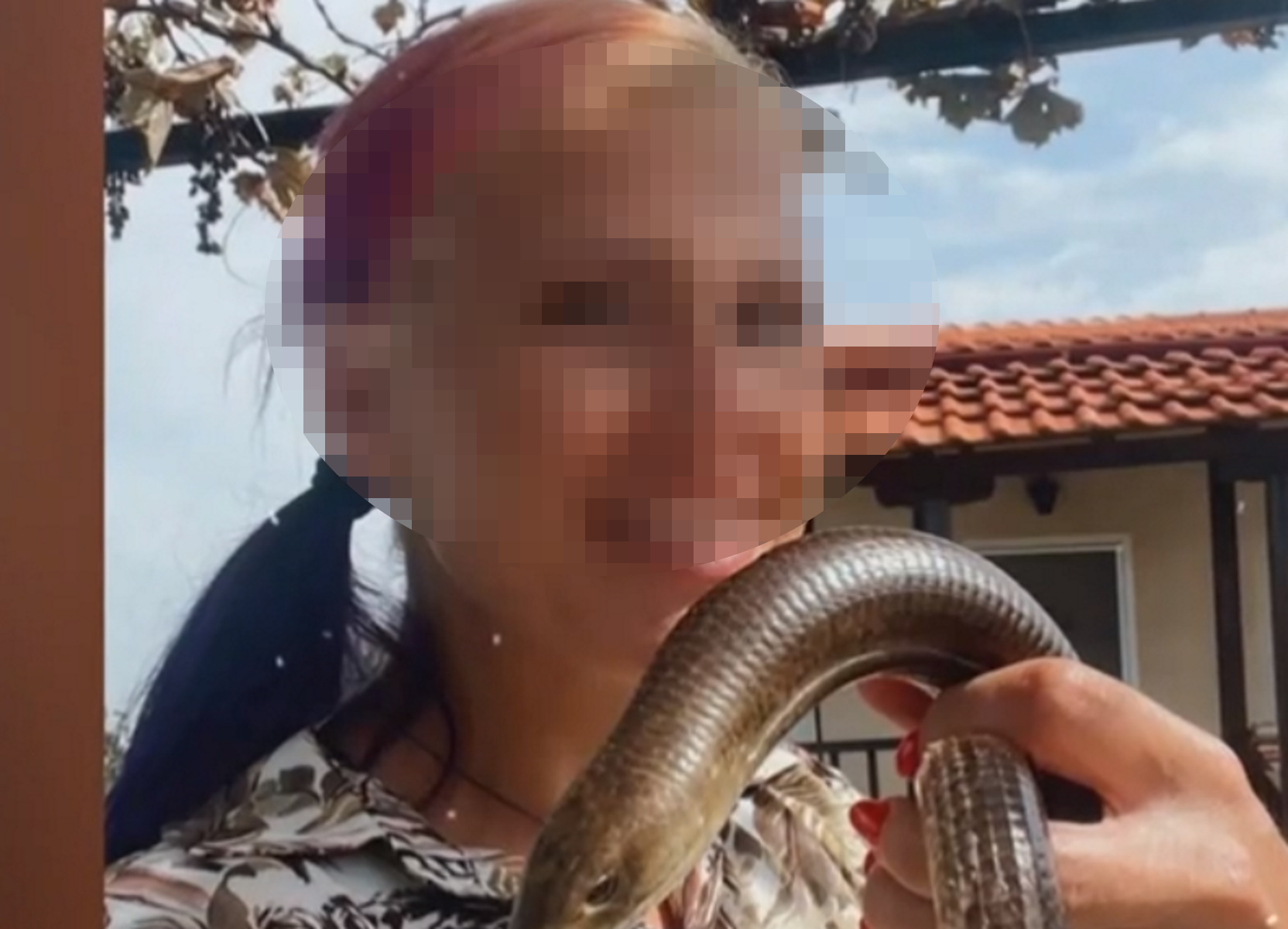 Θεσσαλονίκη: «Οι προσευχές και οι ευχές με γύρισαν πίσω στη ζωή» – Οι πρώτες δηλώσεις της 39χρονης που τη δάγκωσε οχιά