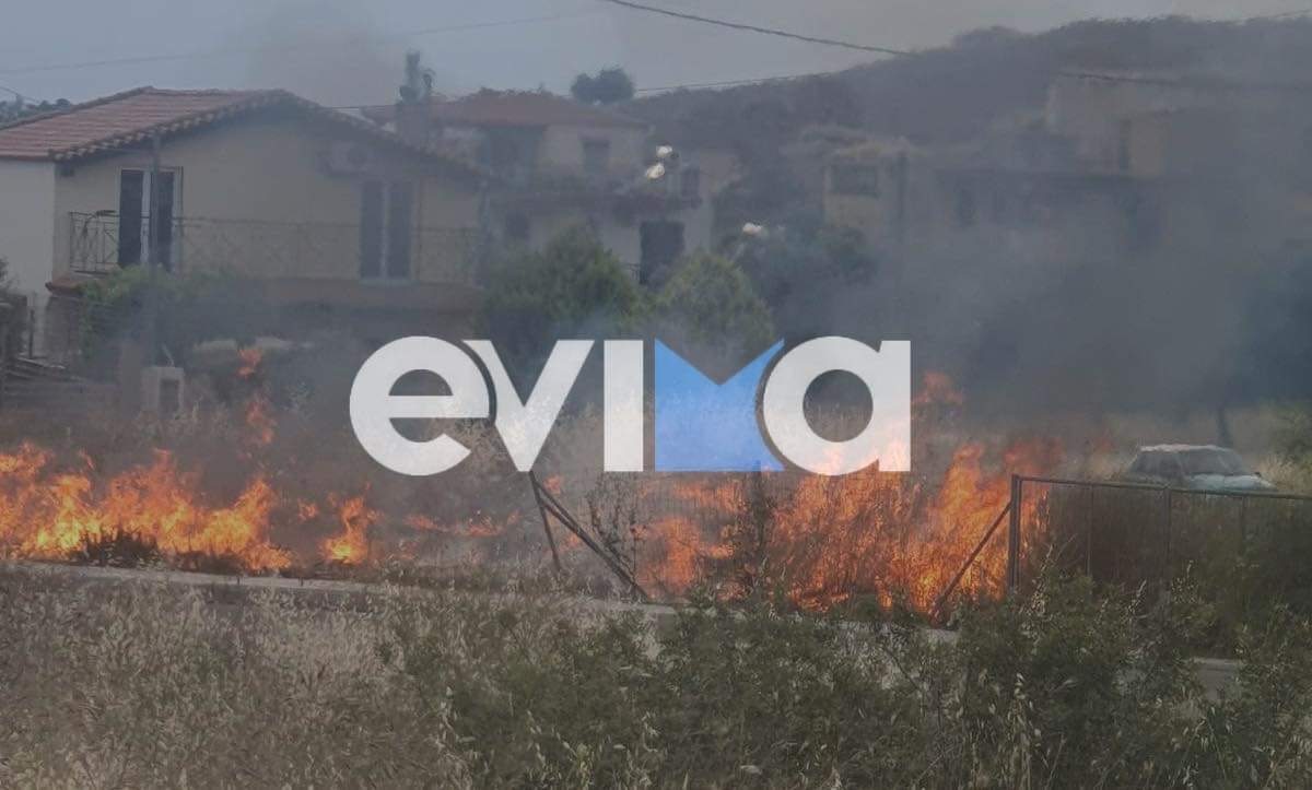 Εύβοια: Φωτιά κοντά σε σπίτια οικισμού της Χαλκίδας