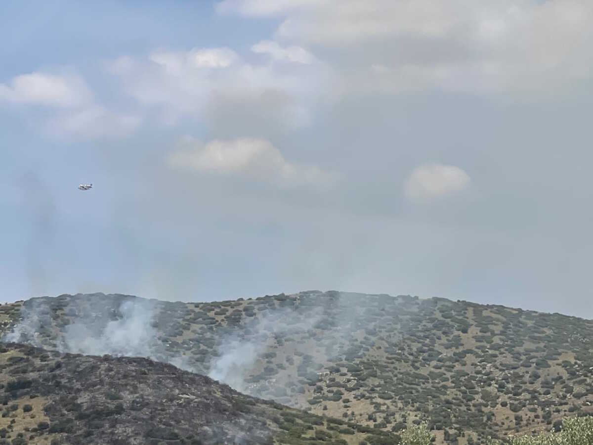 Φωτιά στη Λάρισα – Επιχειρούν επίγειες και εναέριες δυνάμεις