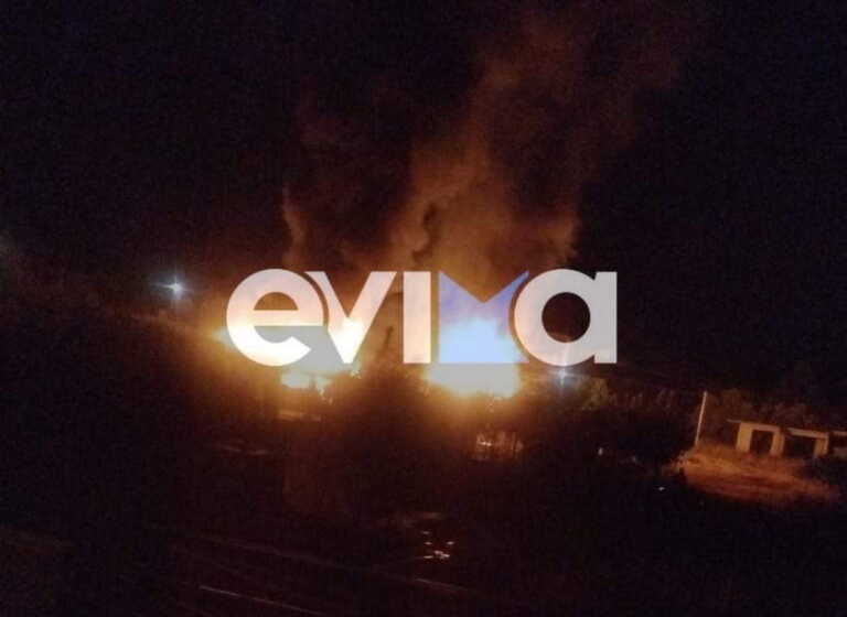 Χαλκίδα: Φωτιά στον οικισμό Χαραυγή