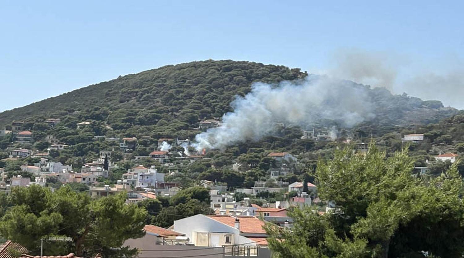 Οριοθετήθηκε η φωτιά στην Αρτέμιδα