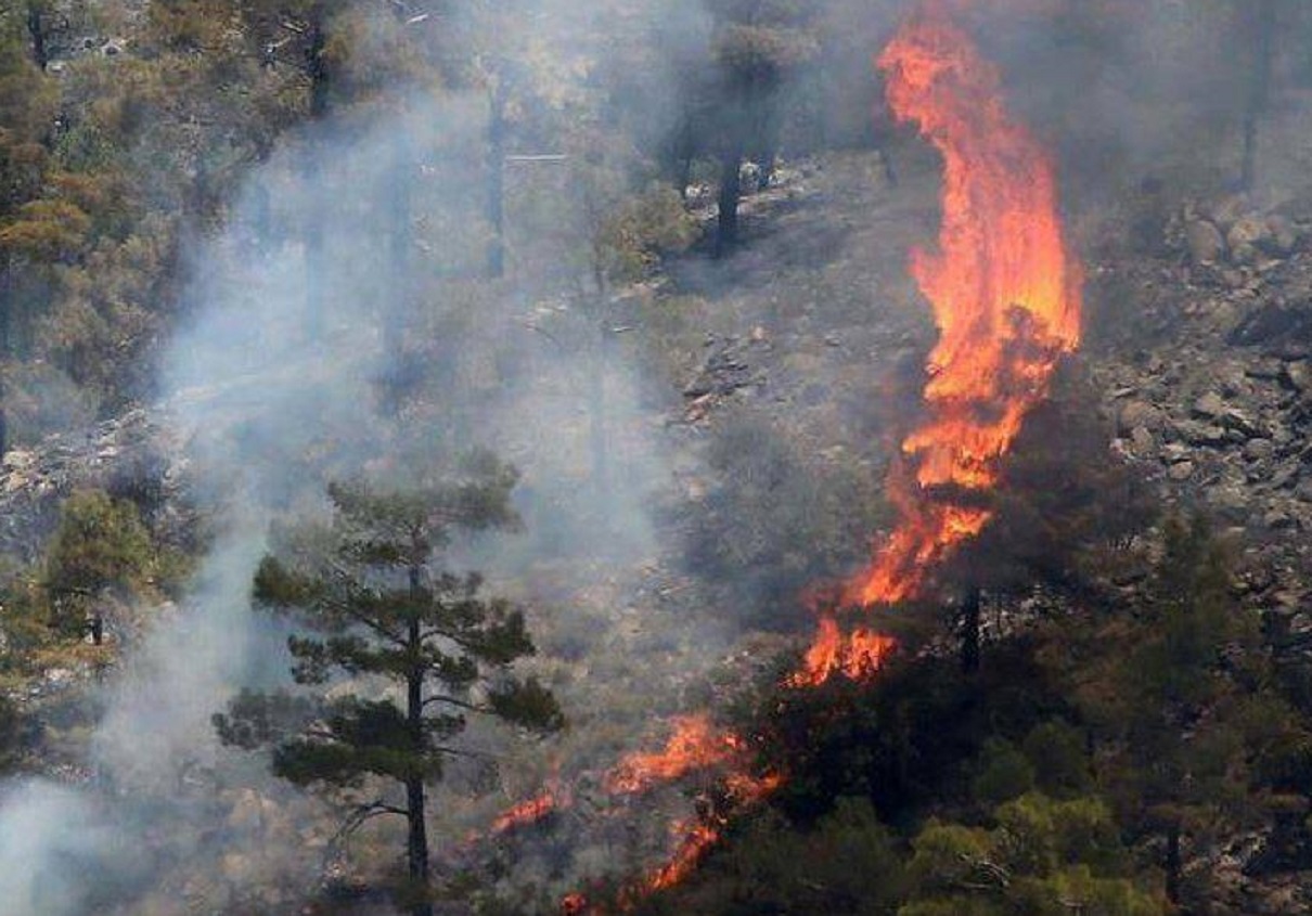 Φωτιά στην Ιεράπετρα στην περιοχή Σελάκανο