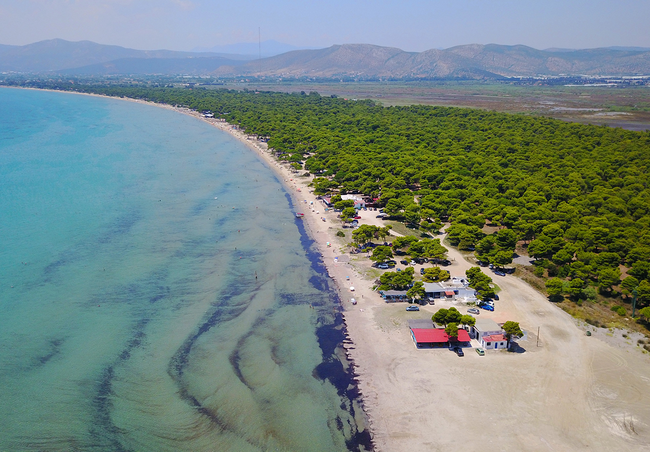 Schinias is one of the most popular coastal resorts in Attica located 45 km north east of the city centre and close to Marathon. Schinias has a great reputation for its crystalline waters and the comfortable facilities.