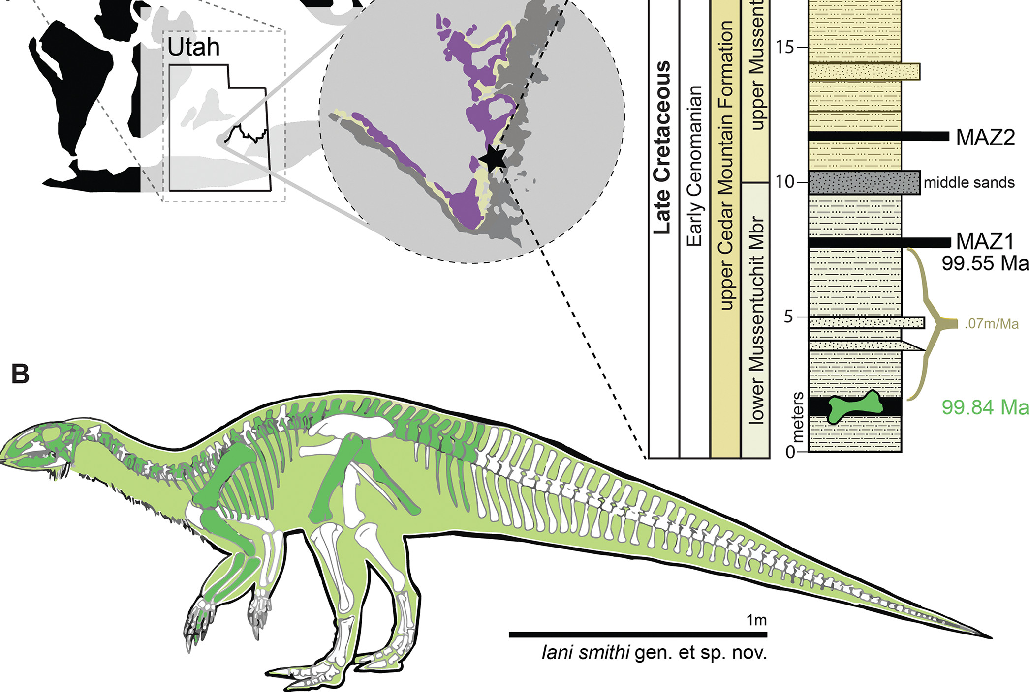 Ανακαλύφθηκε νέο είδος δεινοσαύρου – Σημαντικά νέα στοιχεία για τις μεγάλες περιβαλλοντικές αλλαγές