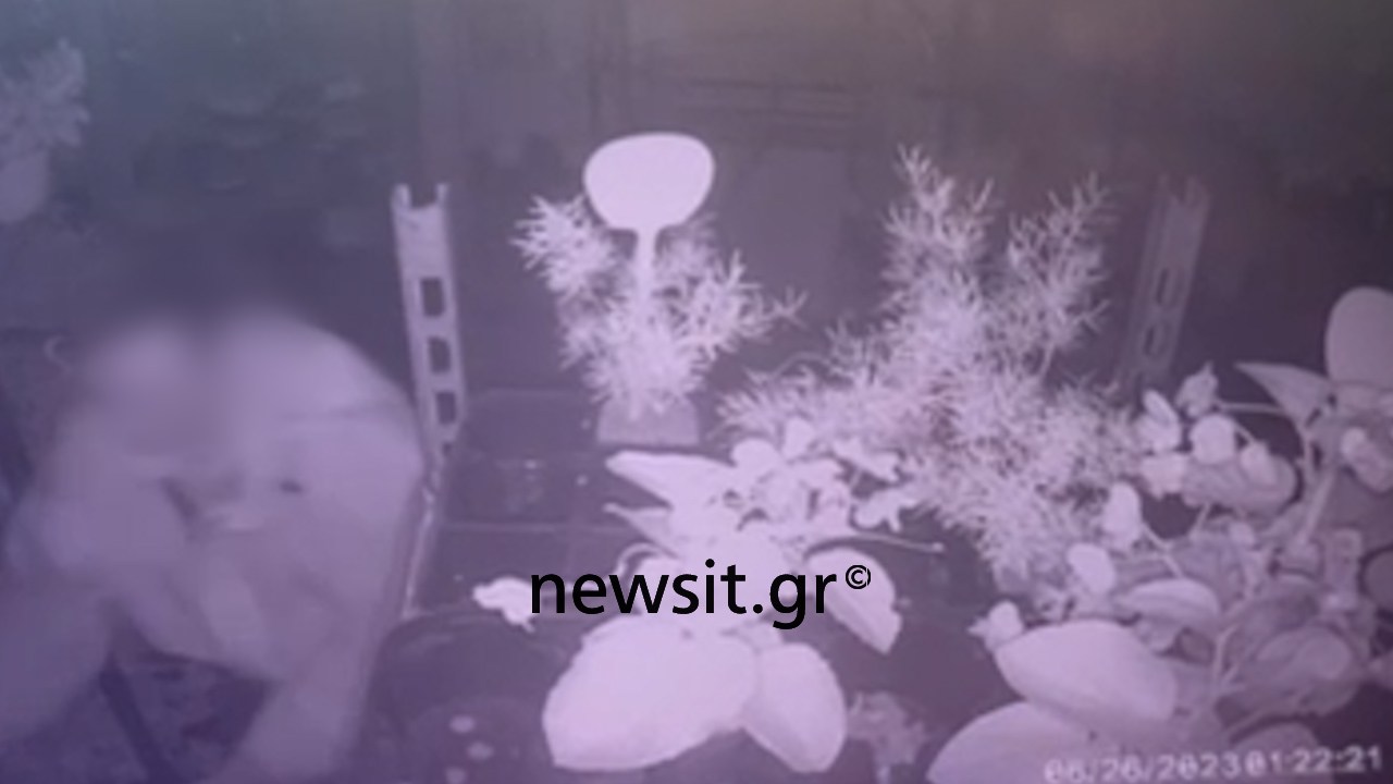 Θεσσαλονίκη: Βίντεο ντοκουμέντο από κλοπή σε φυτώριο – Η επεισοδιακή σύλληψη του δράστη