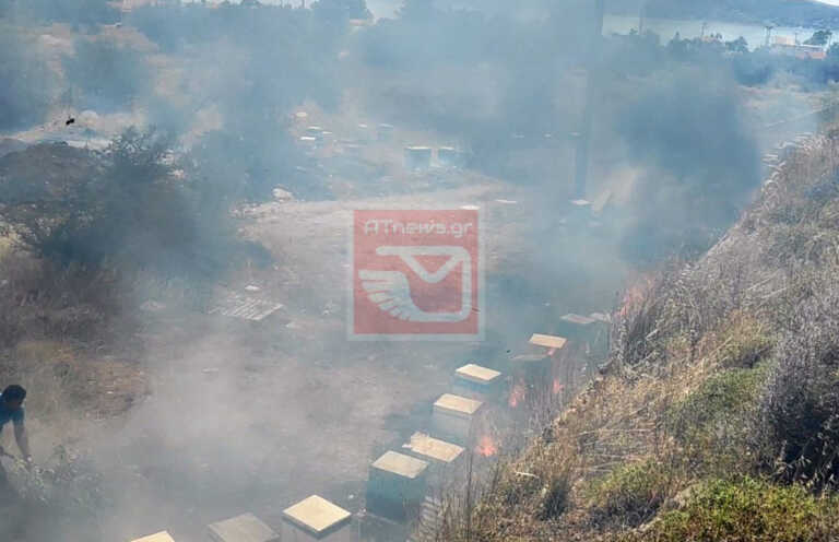Φωτιά στην Νέα Πέραμο - Καταστράφηκαν μελίσσια