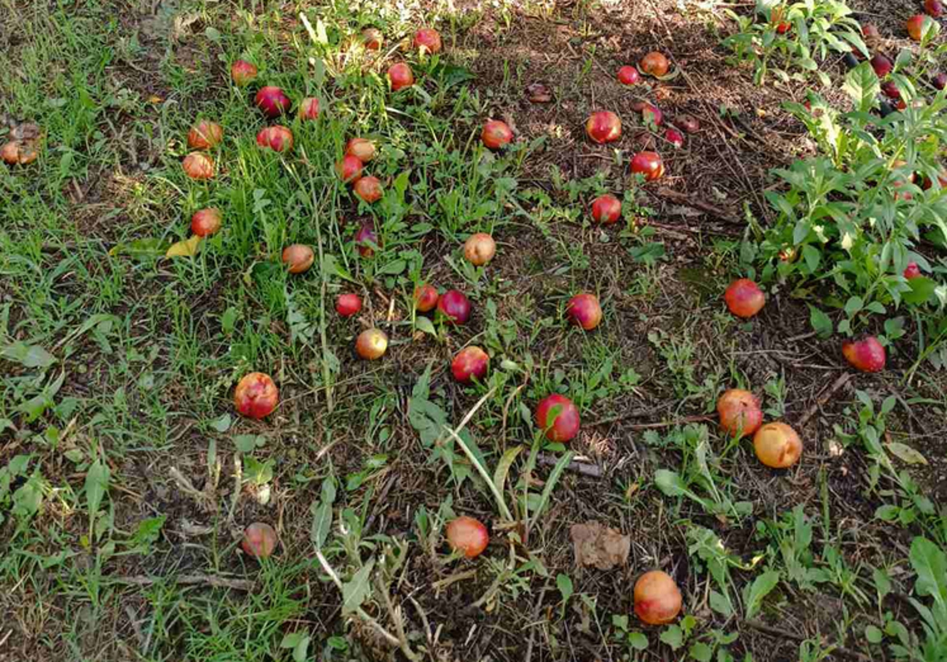 Καιρός – Κοζάνη: Καταστροφές στο Βελβεντό από ισχυρό μπουρίνι