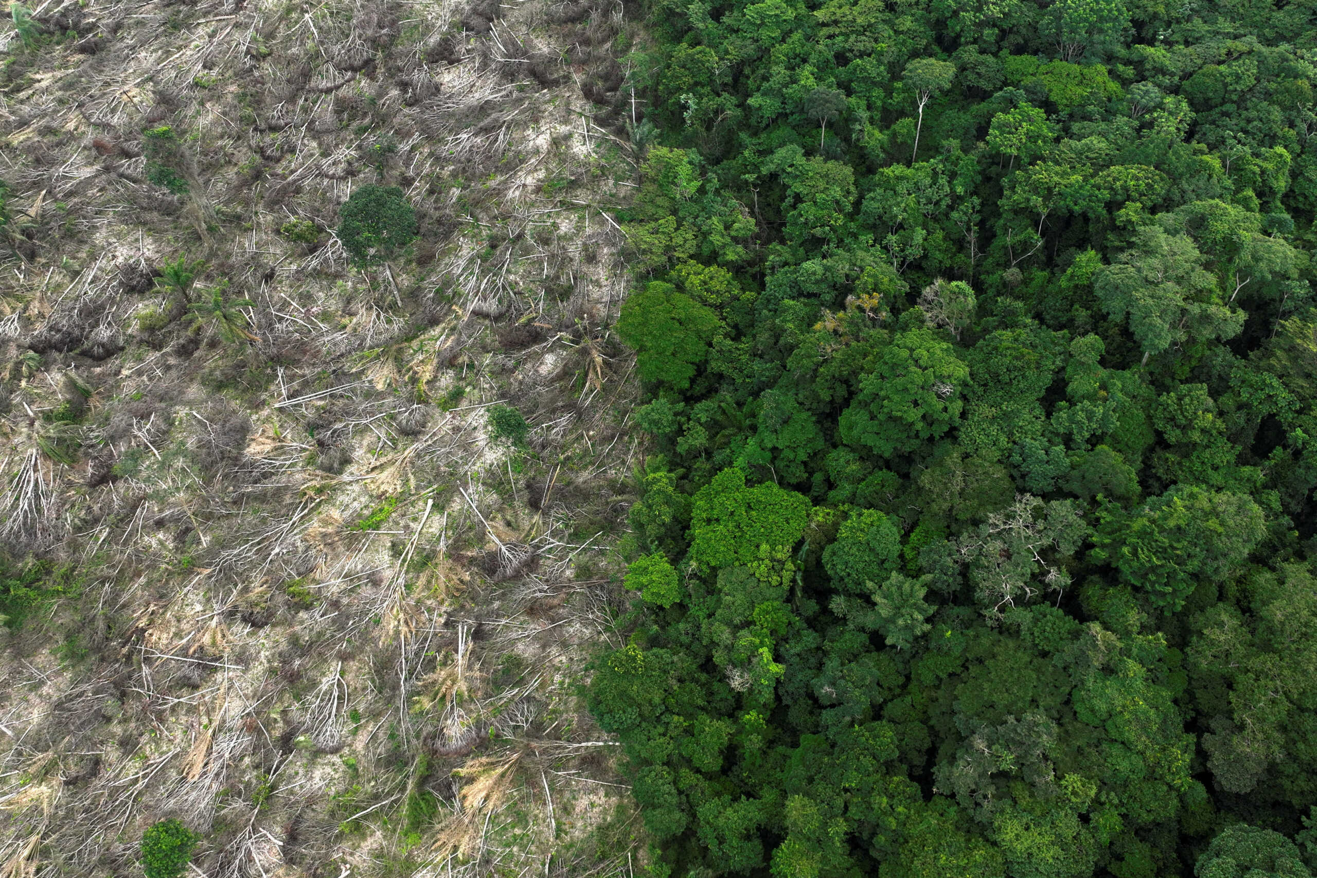 FILE PHOTO: An aerial view shows a deforested area during an operation to combat deforestation near Uruara, Para State, Brazil January 21, 2023. REUTERS