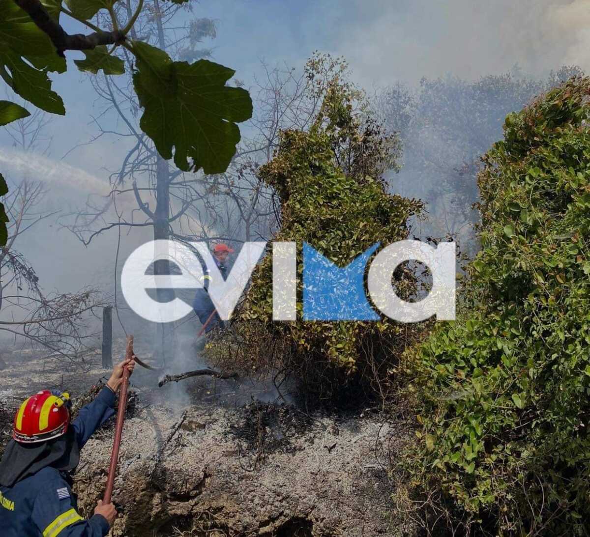 εθτυι
