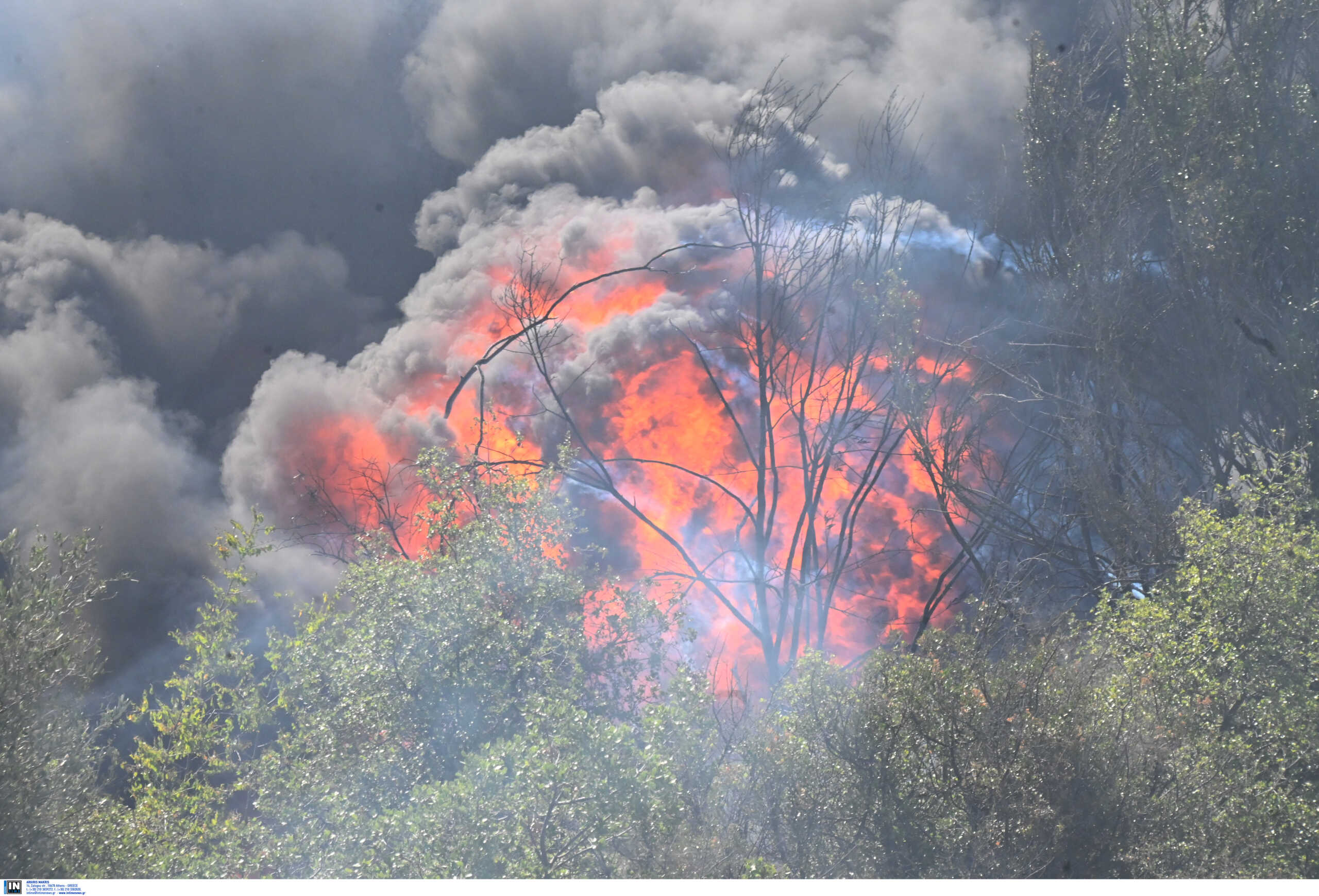 Φωτιές: Στο «κόκκινο» έξι περιφέρειες για εκδήλωση πυρκαγιάς – Ο χάρτης της Πολιτικής Προστασίας