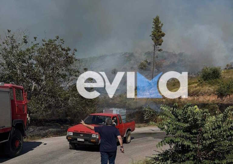 Νέα μεγάλη φωτιά στην Εύβοια - Οι φλόγες έφτασαν μέσα στο χωριό Κοντοδεσπότι