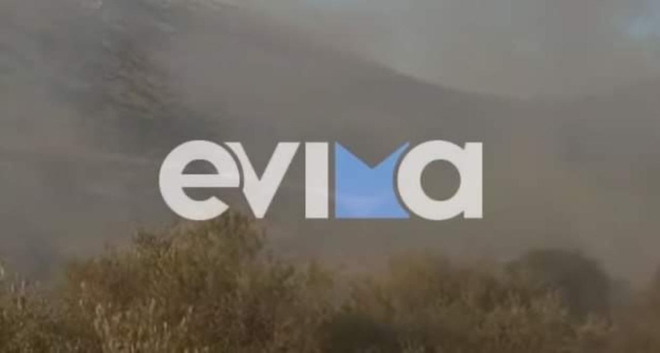 Φωτιά στην Εύβοια: Καίγεται δασική έκταση κοντά σε μοναστήρι στη περιοχή Φύλλα