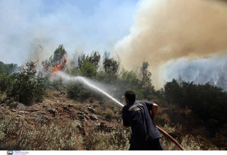 Μεγάλη φωτιά συνεχίζει να καίει στα βόρεια της Χίου - Εκκενώθηκαν δύο οικισμοί