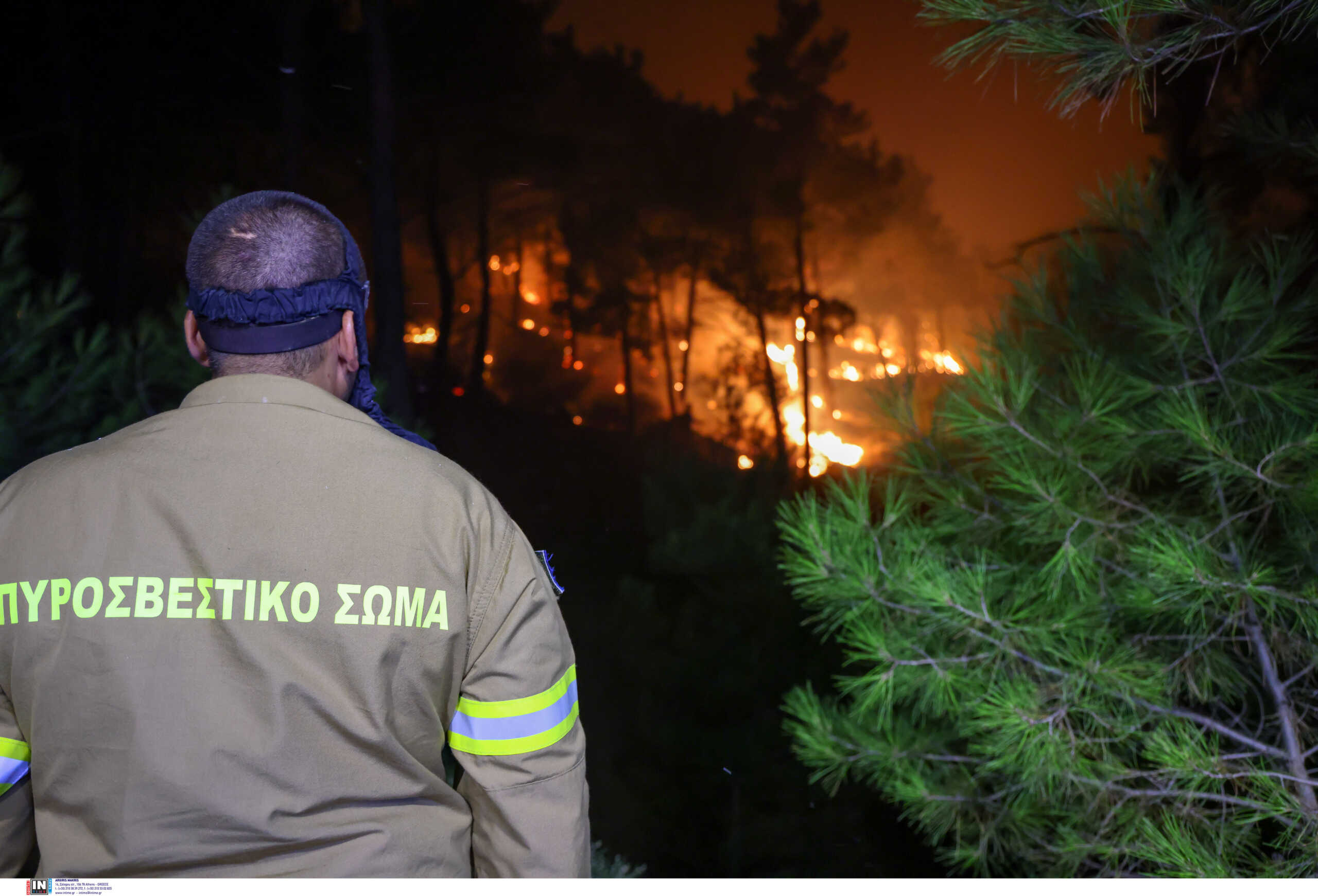 Πυροσβεστική: Συνολικά 38 φωτιές σε δάση ξέσπασαν μέσα σε ένα 24ωρο