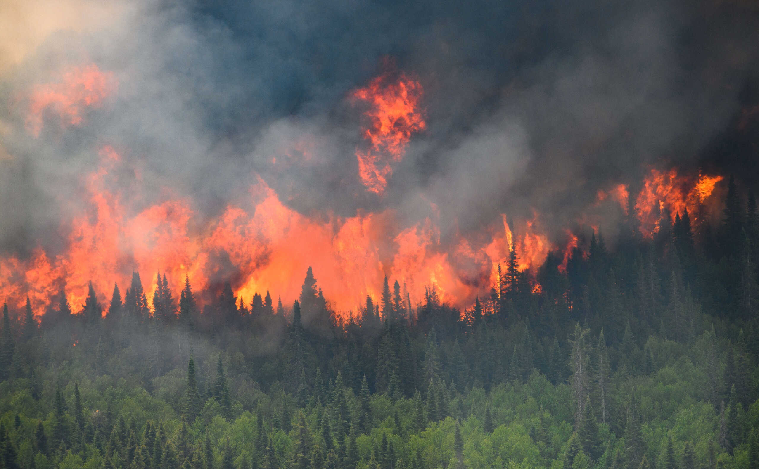 Ηλεία: Φωτιά σε αγροτοδασική έκταση στη Φρίξα Κρεστένων