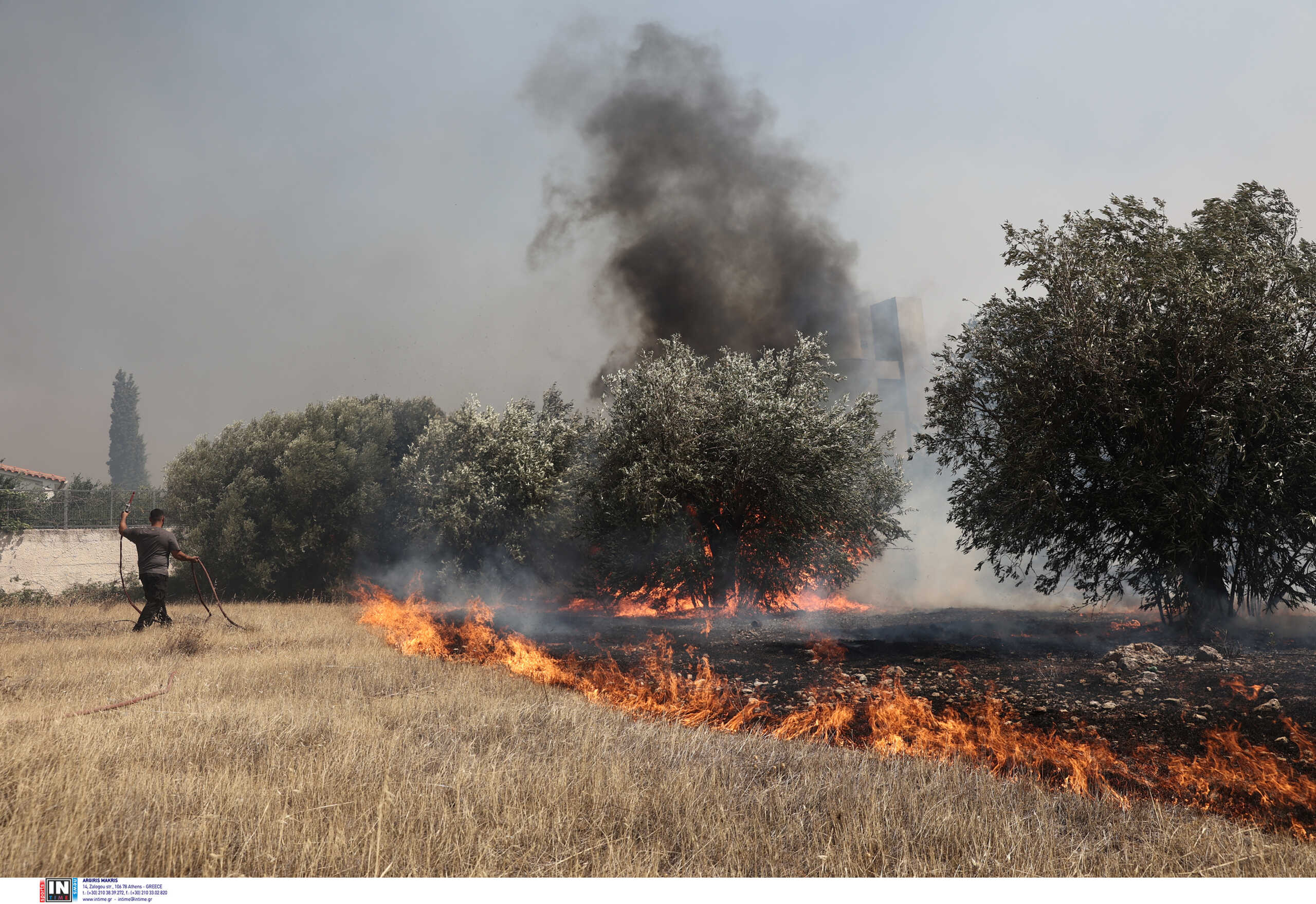 ΦΩΤΟΓΡΑΦΙΑ ΑΡΧΕΙΟΥ ΙΝΤΙΜΕ