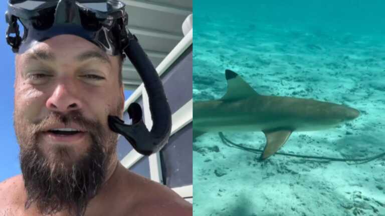 Ο διάσημος ηθοποιός Τζέισον Μομόα κολύμπησε δίπλα σε καρχαρίες στέλνοντας ένα ξεχωριστό μήνυμα
