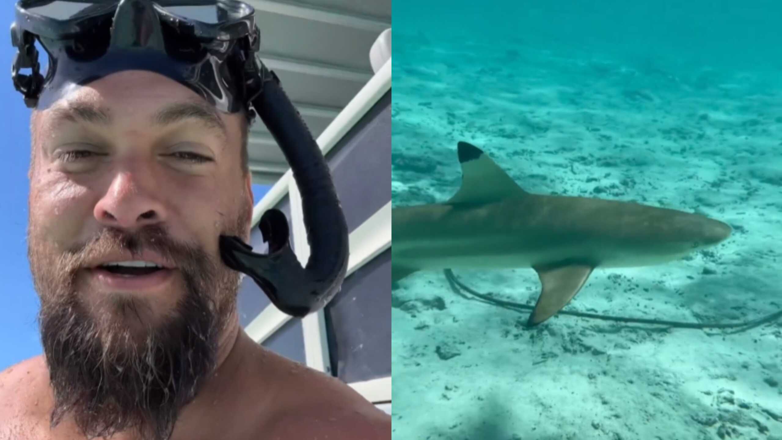 Τζέισον Μομόα: Ο διάσημος ηθοποιός κολύμπησε δίπλα σε καρχαρίες στέλνοντας ένα ξεχωριστό μήνυμα