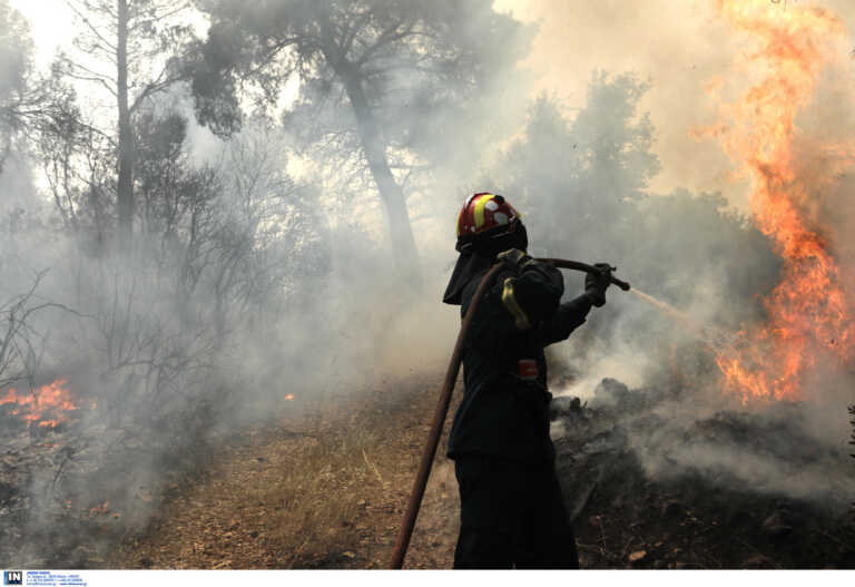 Βελτιωμένη η εικόνα της φωτιάς στην Τρίπολη - Μάχη με μικρές εστίες δίνουν οι πυροσβέστες