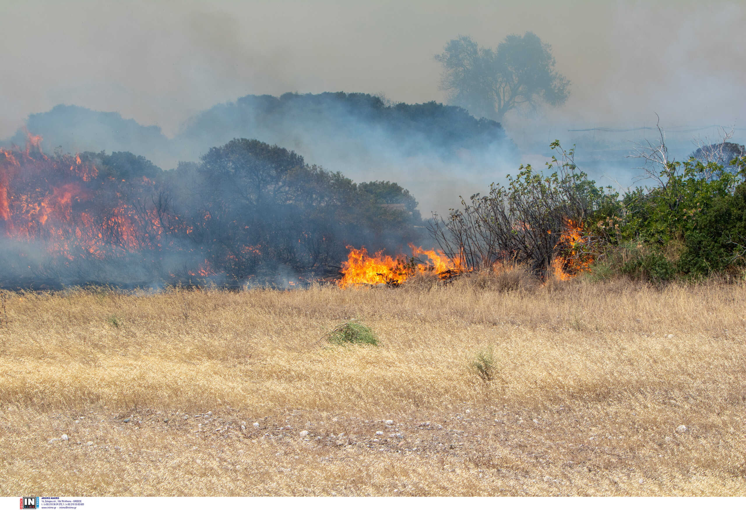 Φωτιά στη Ρόδο, στην Κέρκυρα και στην Κάρυστο: Τιτάνια μάχη με τις αναζωπυρώσεις και τους ανέμους – Εκκενώνονται χωριά