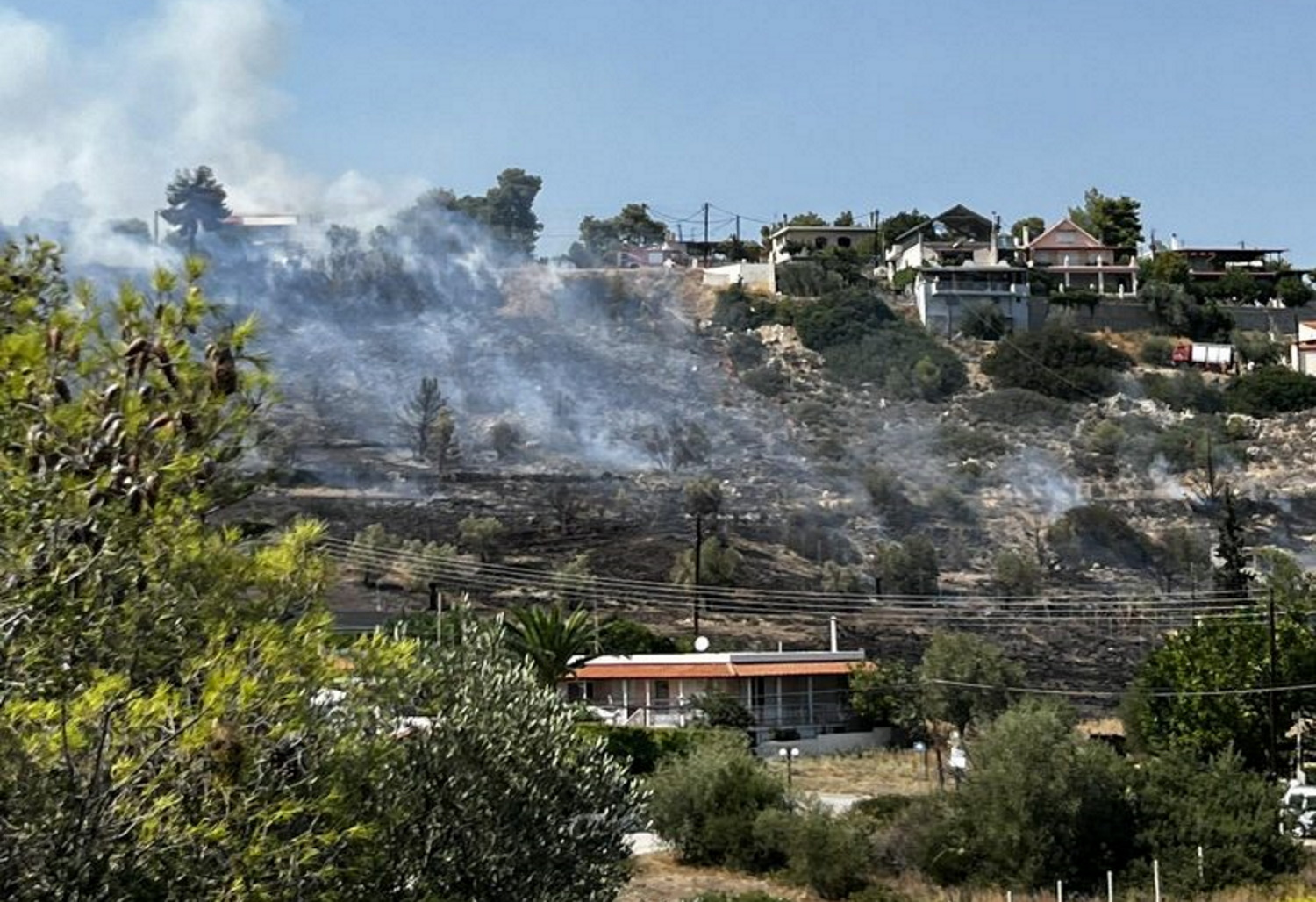 Φωτιά στους Αγίους Θεοδώρους – Επιχειρούν επίγειες και εναέριες δυνάμεις της πυροσβεστικής