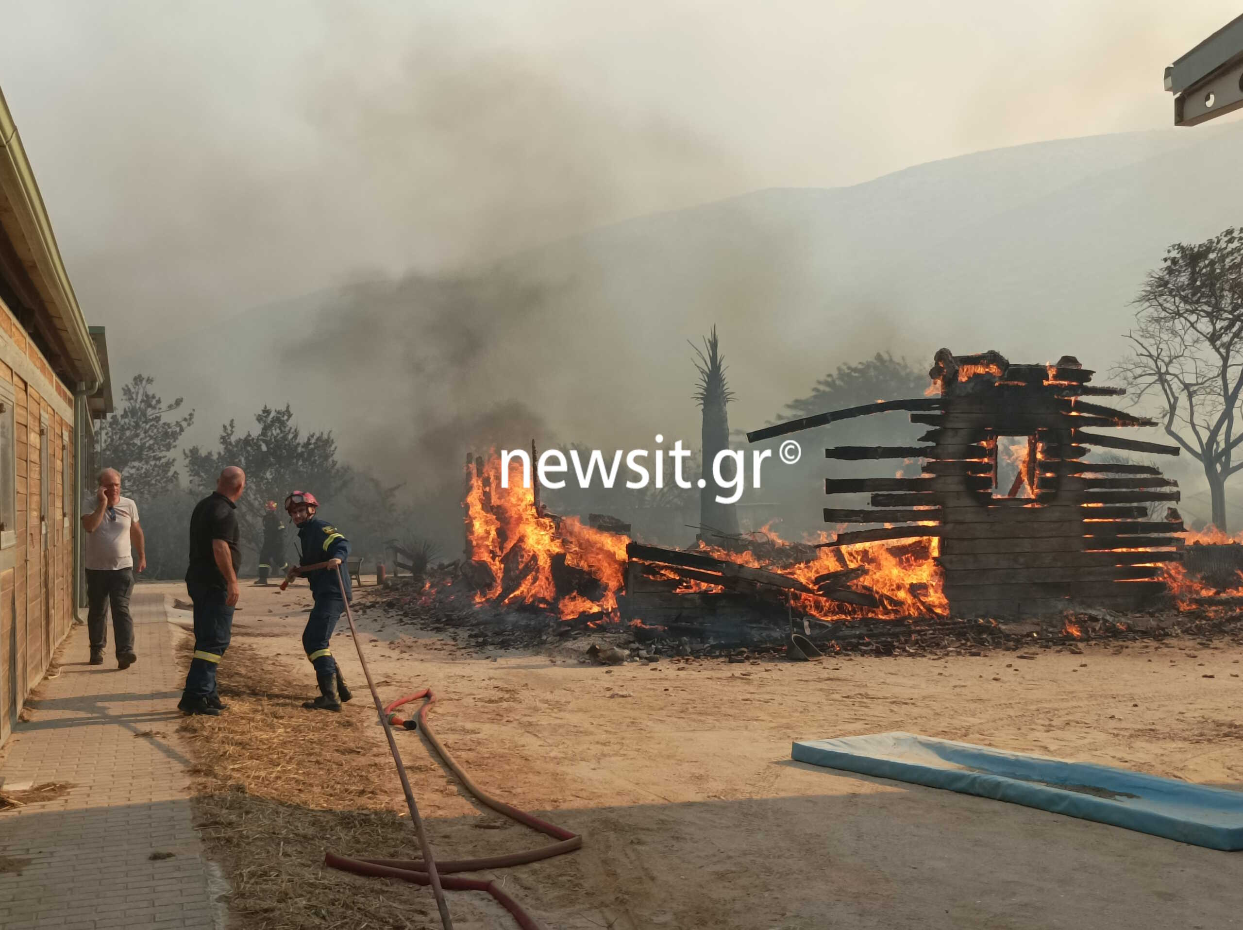 Φωτιά σε Κουβαρά, Λαγονήσι: Στις φλόγες ο Ιππικός Όμιλος, δραματικές εικόνες από την επιχείρηση μεταφοράς των αλόγων
