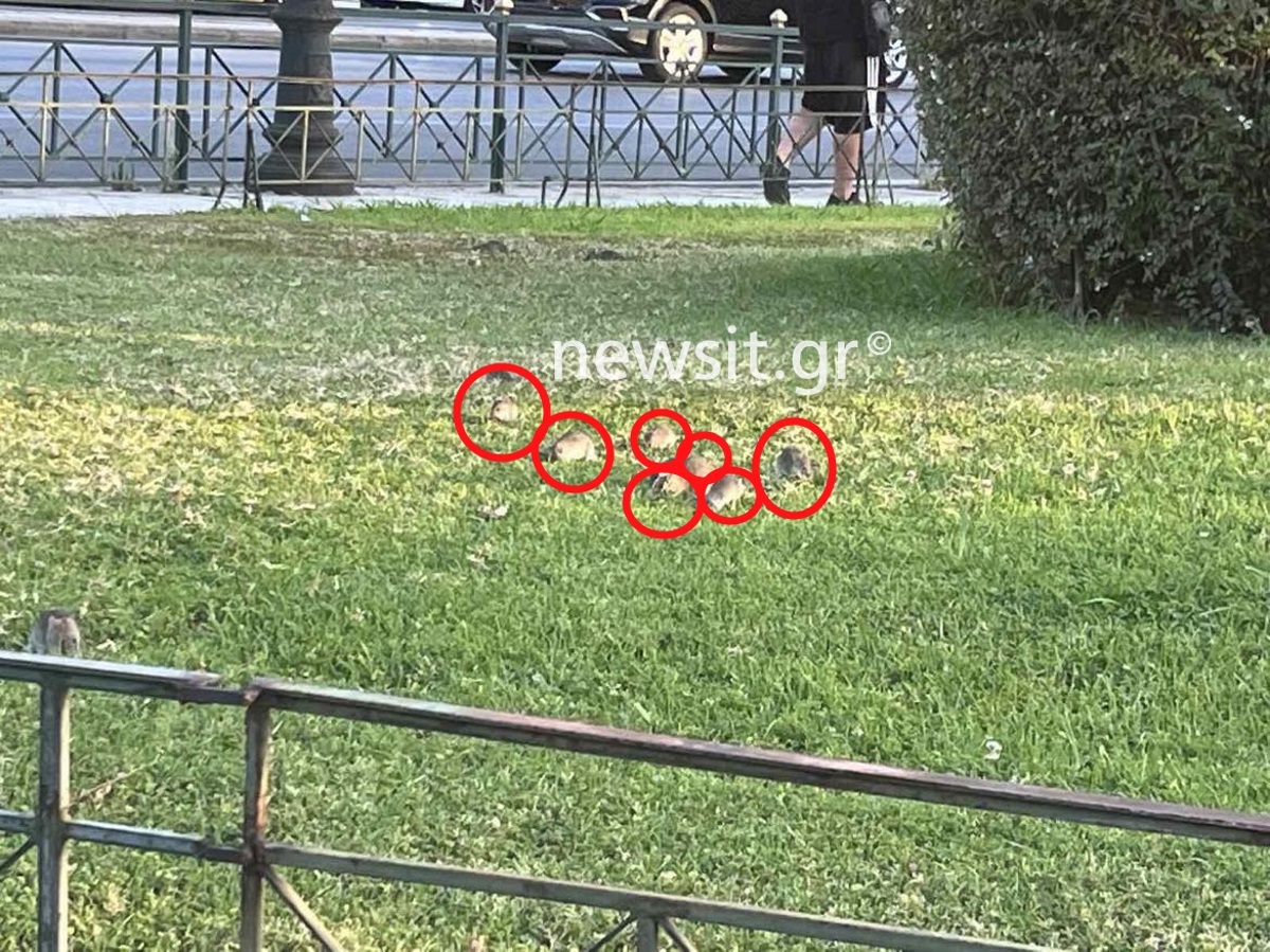 Εικόνα