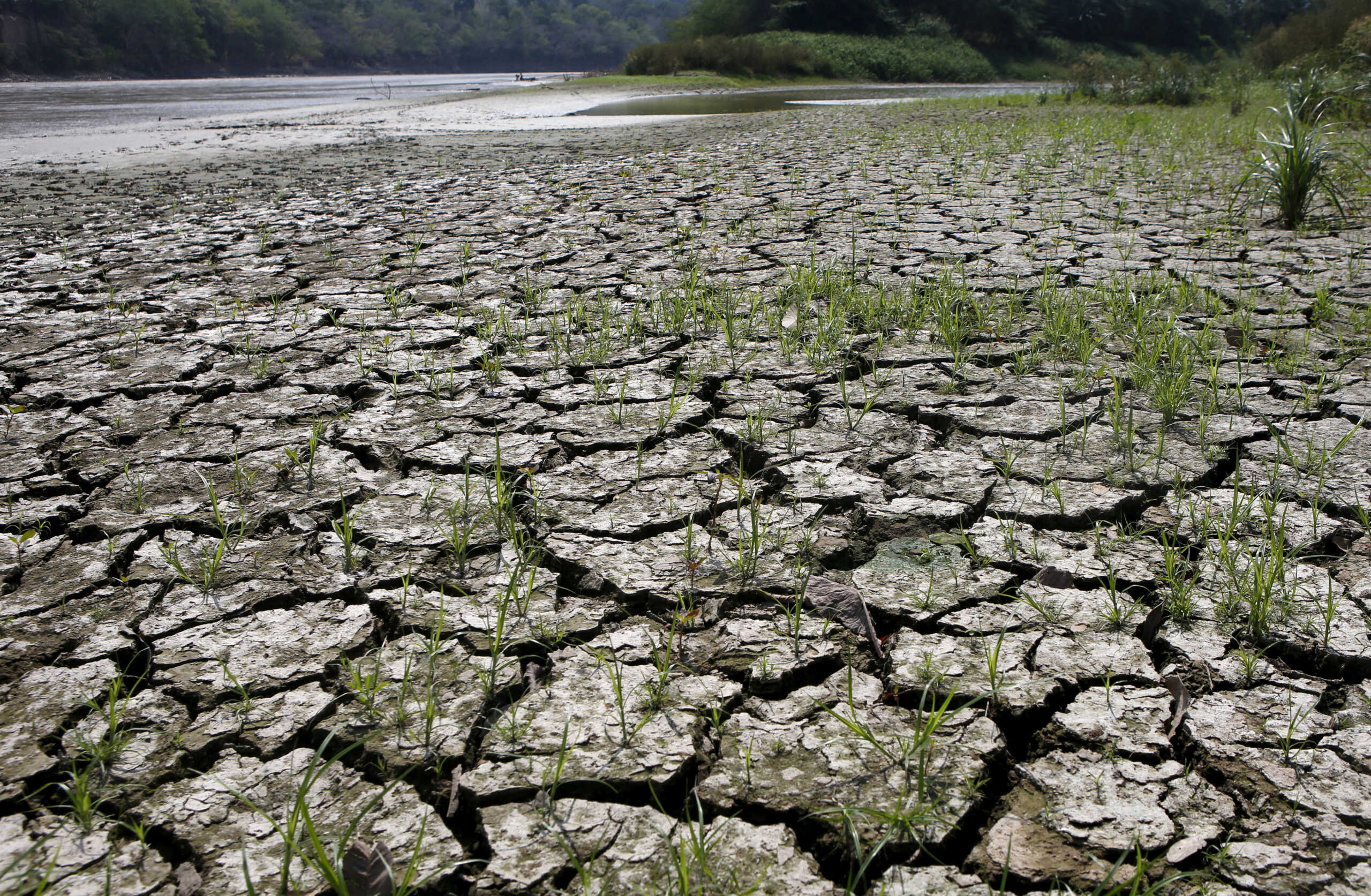 FILE PHOTO: An area is uncovered by the lowering of the water level from the Magdalena river, the longest and most important river in Colombia, due to the lack of rain, in the city of Honda, January 14, 2016. While flooding and intense rain wreak havoc on several countries in Latin America, El Nino brings other harmful effects to Colombia with severe drought. Picture taken January 14, 2016. REUTERS