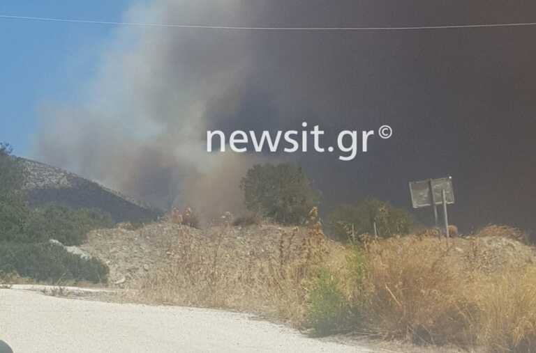Συγκλονιστικές μαρτυρίες στο newsit.gr για τη μάχη με τις φλόγες στον Κουβαρά - «Δεν βλέπω μπροστά μου από τους καπνούς»