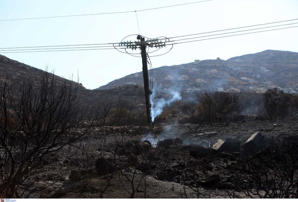 Φωτιές στην Ανατολική Αττική: Ανείπωτη καταστροφή – Κάηκαν σχεδόν 35.000 στρέμματα