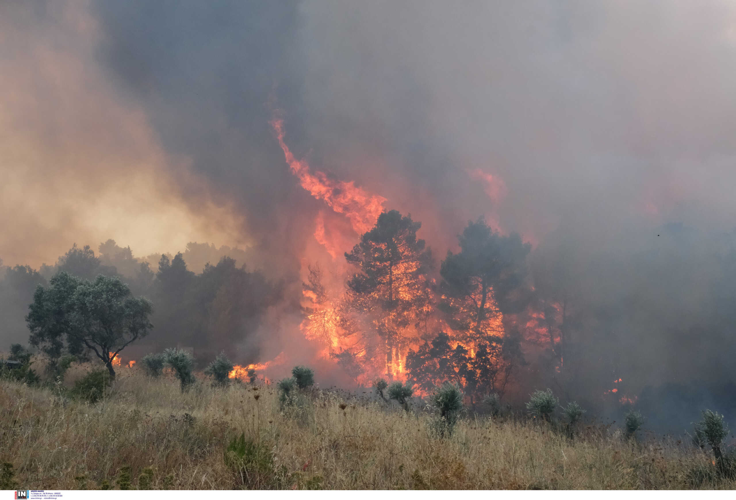 Φωτιά στη Ροδόπη: Εκκενώνεται το χωριό Γρατινή