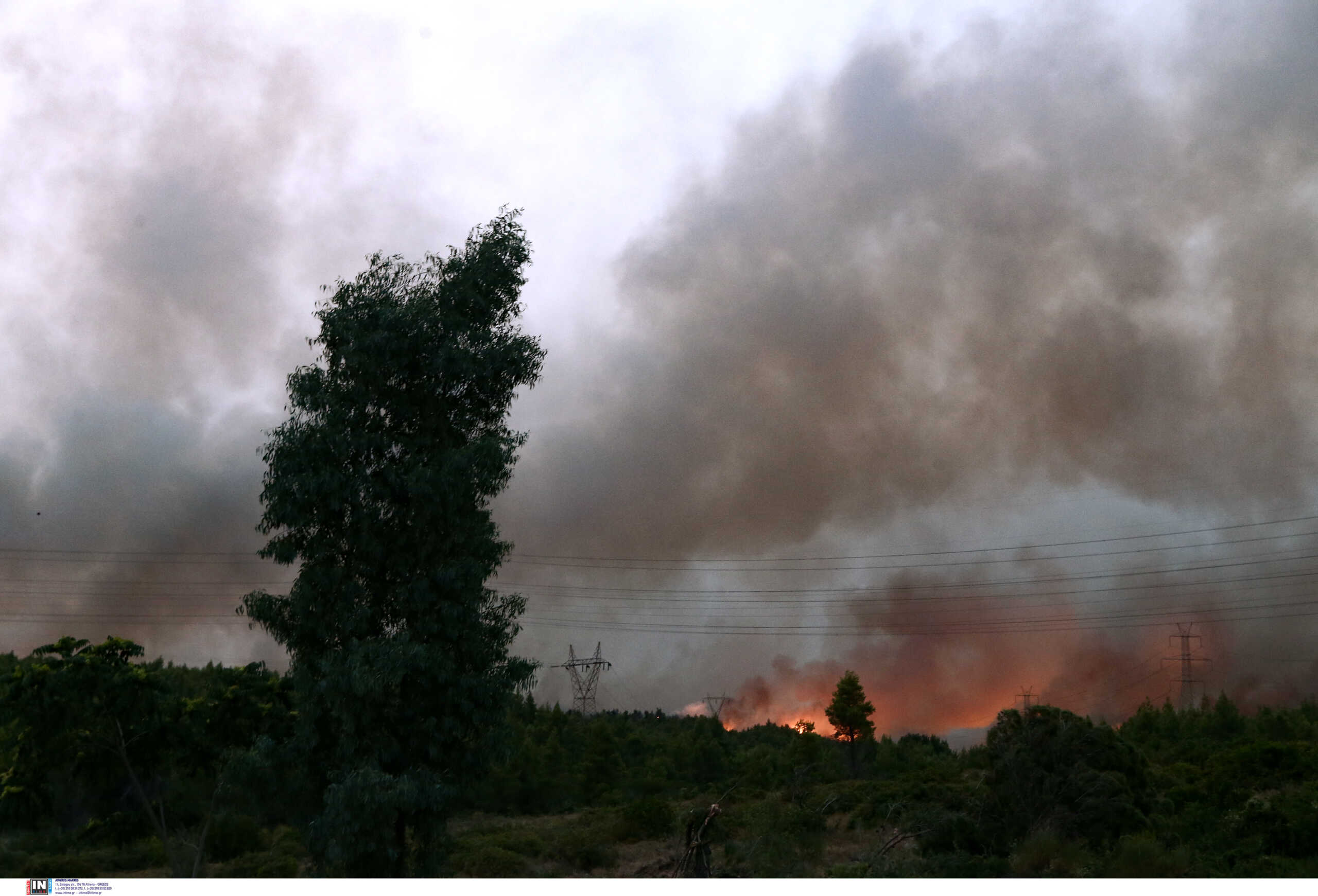 Φωτιά στην Φθιώτιδα – Καίει στην περιοχή Γκάτζα του δήμου Λοκρών