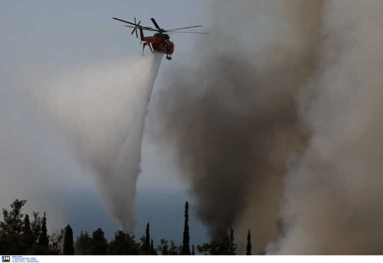 Φωτιά στη Σάμο – Επιχειρούν επίγεια μέσα κι ελικόπτερο