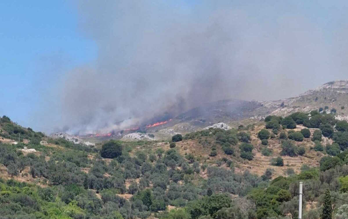 Νάξος: Φωτιά στην Κεραμωτή – Επιχειρούν επίγεια και εναέρια μέσα