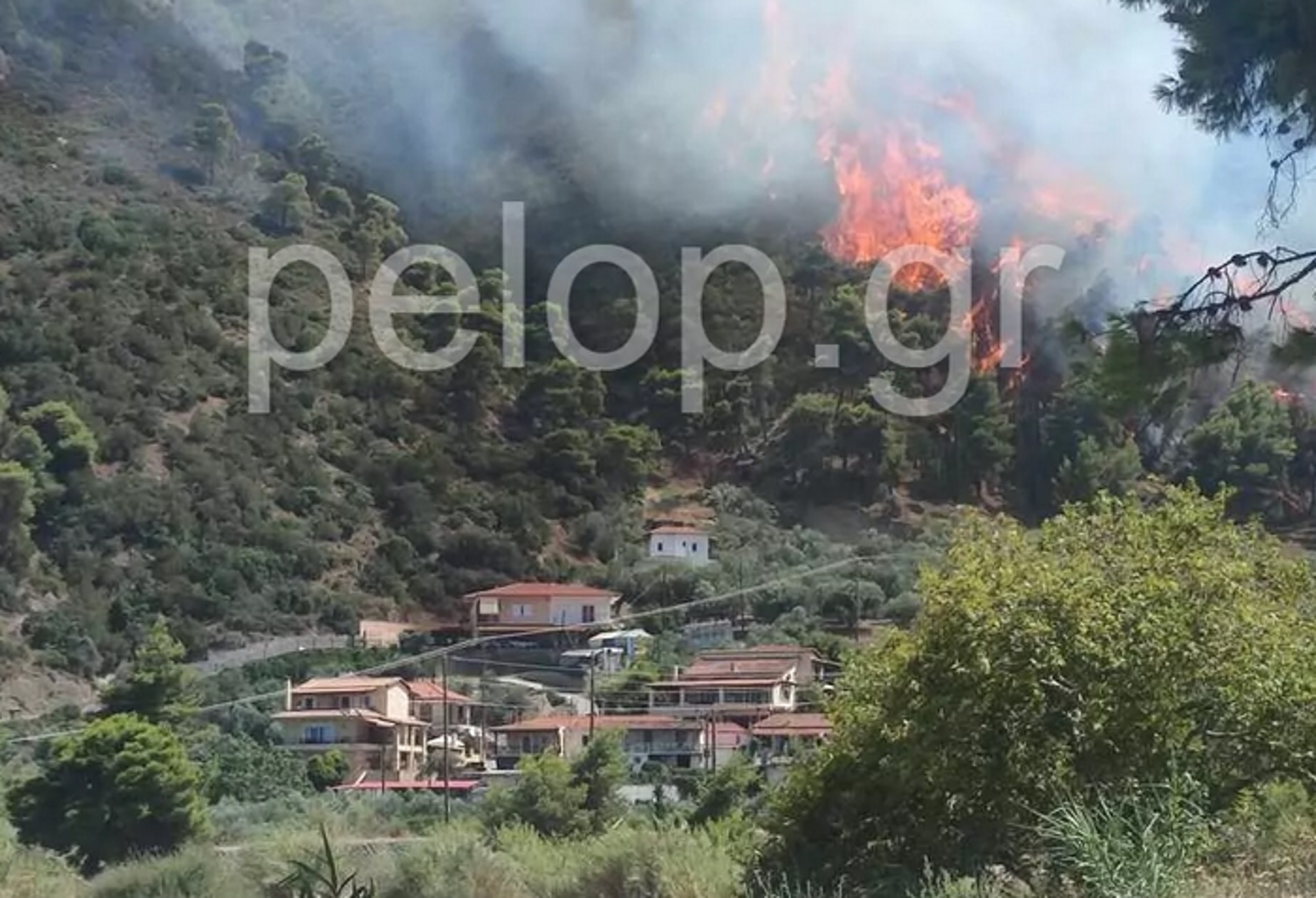 Φωτιά στο Αίγιο: Βίντεο από τη δασική πυρκαγιά στη θέση Δερβενάκια