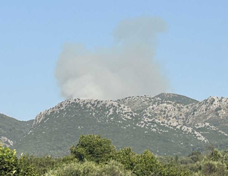 Φωτιά στη Θεσσαλονίκη κοντά στον οικισμό Προφήτης – Έσπευσαν 21 πυροσβέστες