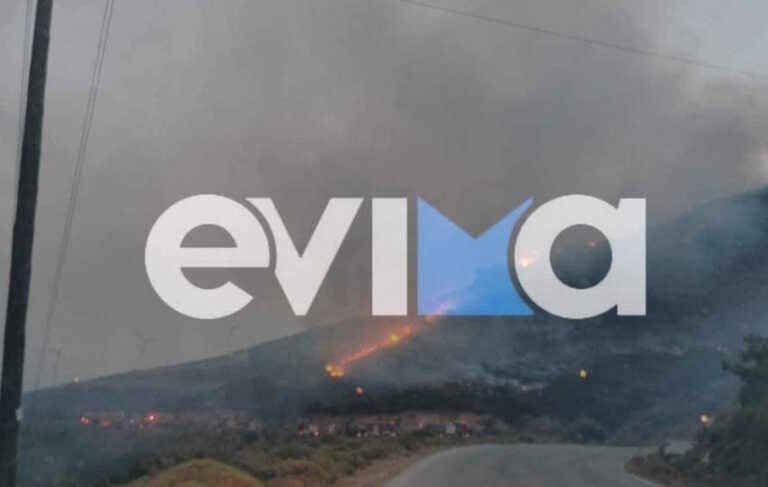 Αναζωπύρωση της φωτιάς κοντά στο χωριό Αντιά στην Κάρυστο - Συνεχίζεται η μάχη για την κατάσβεσή της