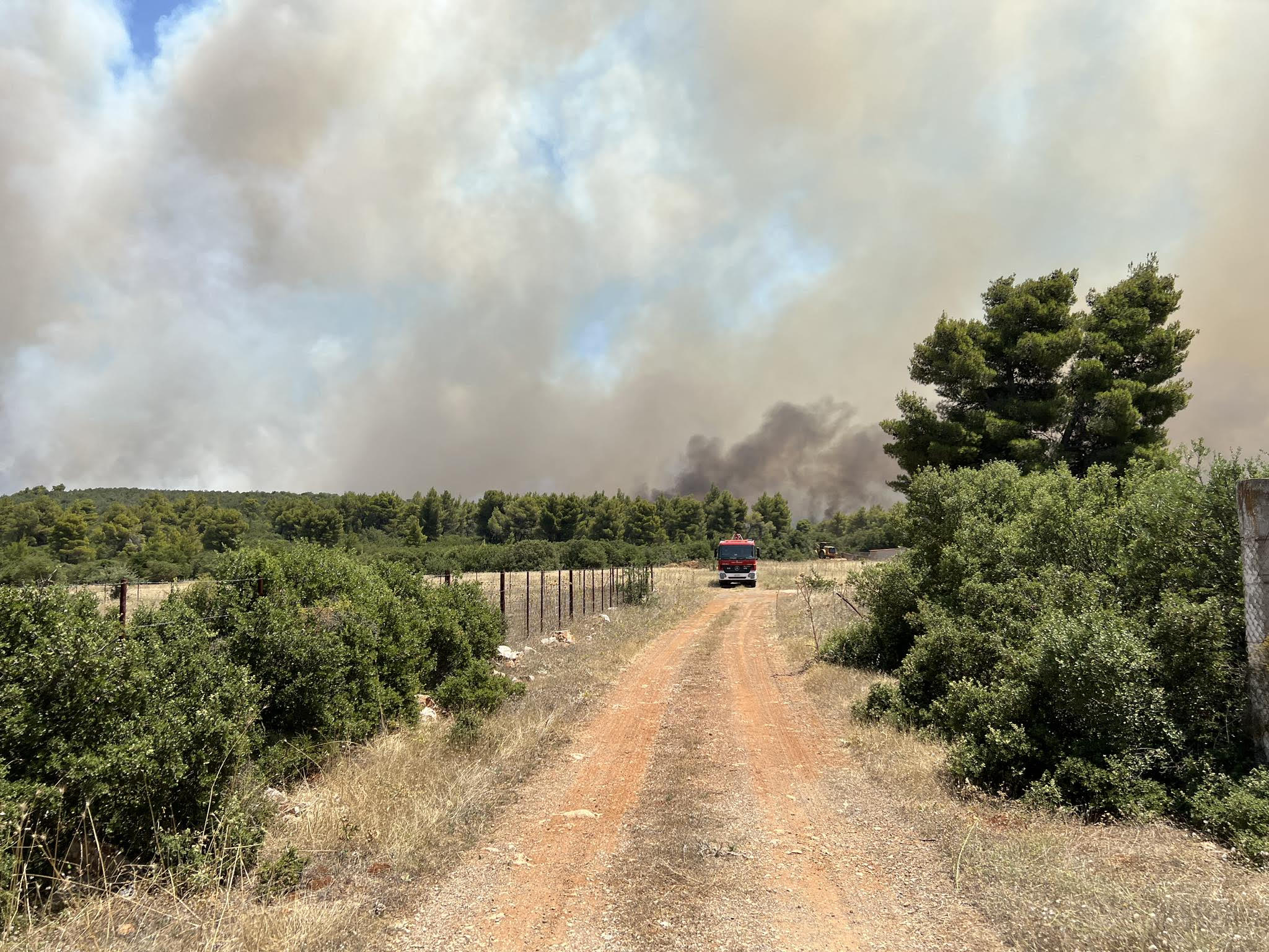 Φωτιά στα Δερβενοχώρια: Νέες αναζωπυρώσεις – Μάχη να μην περάσουν στην Πάρνηθα οι φλόγες