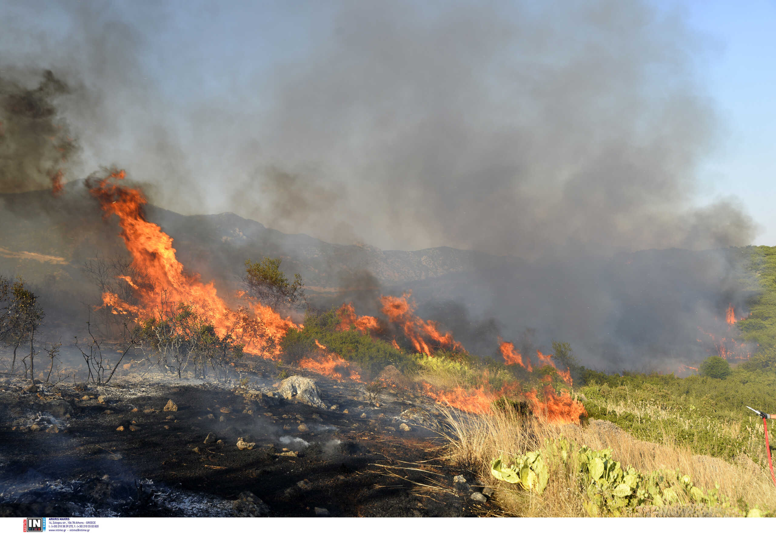 Φωτιά στην Ηλεία: Παραμένει υπό κράτηση ο 65χρονος που προσήχθη για απόπειρα εμπρησμού – Απολογείται την Τρίτη