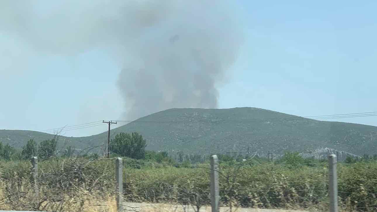 Φωτιά στην περιοχή Υλίκη Βοιωτίας – Ισχυρές δυνάμεις στο μέτωπο