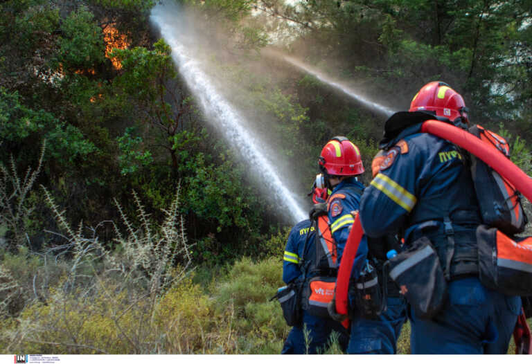 Φωτιά στη Μεσσηνία στην περιοχή Μάδενα – Καίγονται ελαιώνες