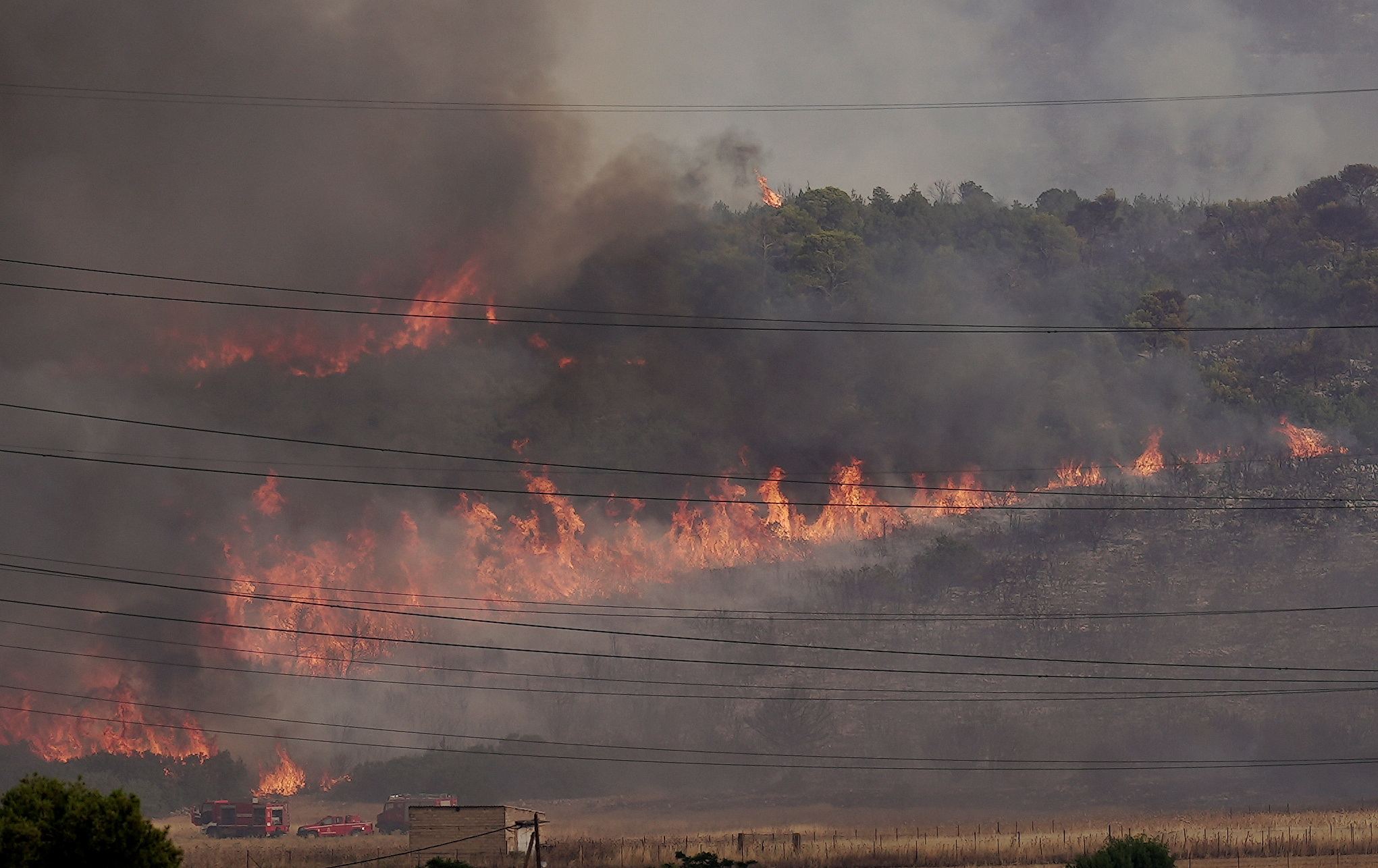 Firefighters operate as wildfire burns near the village of Agios Sotira, west of Athens, Greece, July 20, 2023. REUTERS