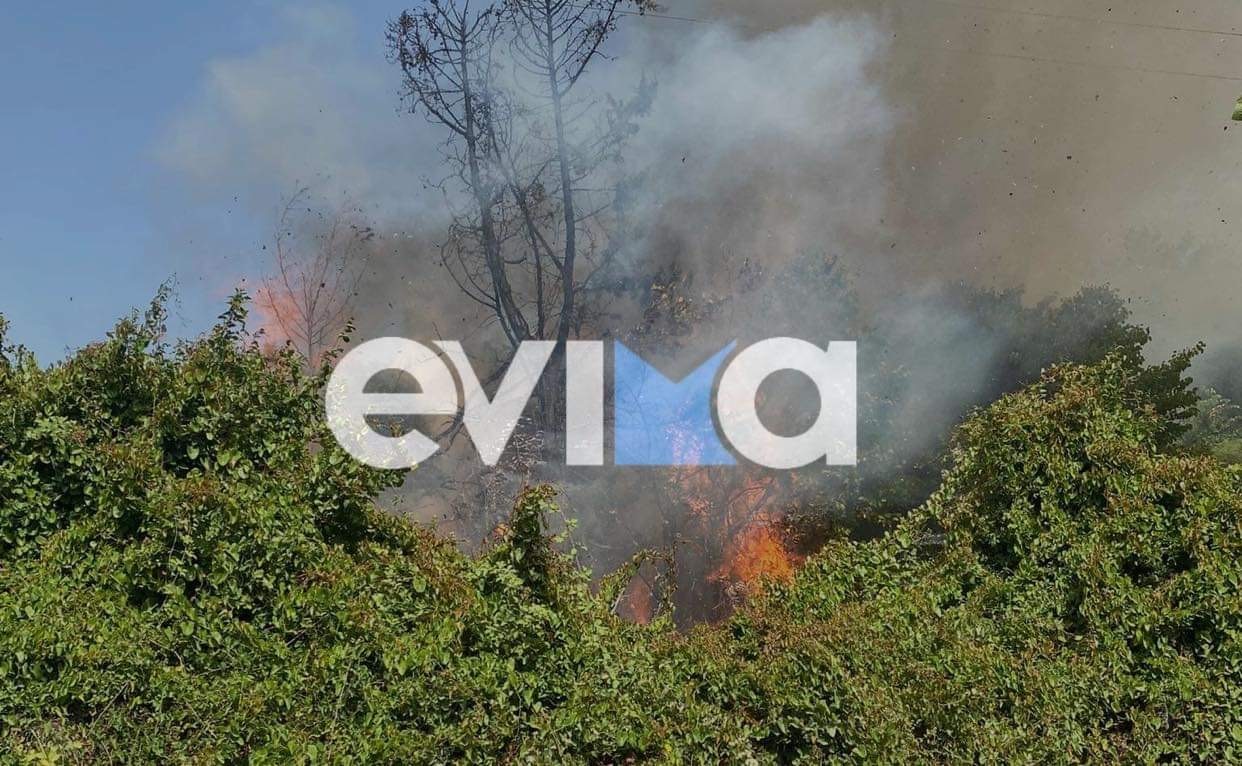Κατασβέστηκε στην Κύμη Ευβοίας