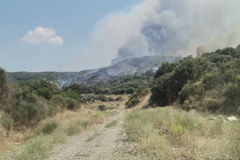 Φωτιά στη Λακωνία – Καίγεται μεγάλη έκταση στην περιοχή Λευκόχωμα