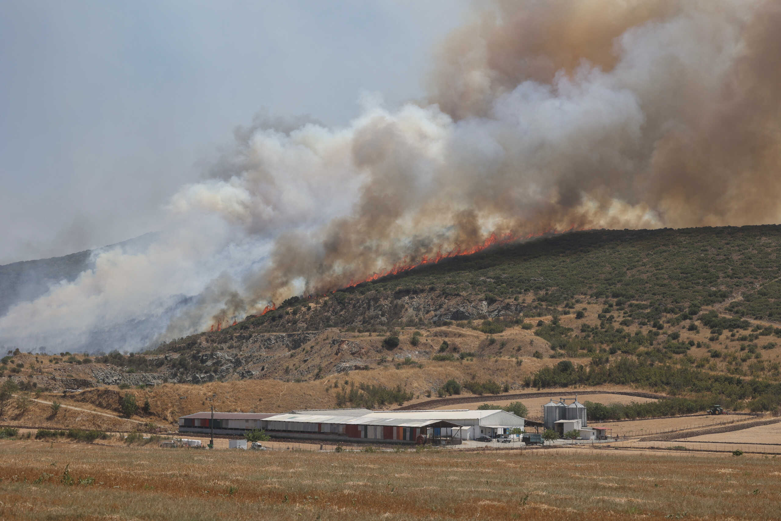 A wildfire burns near the city of Volos, in central Greece, July 27, 2023. REUTERS